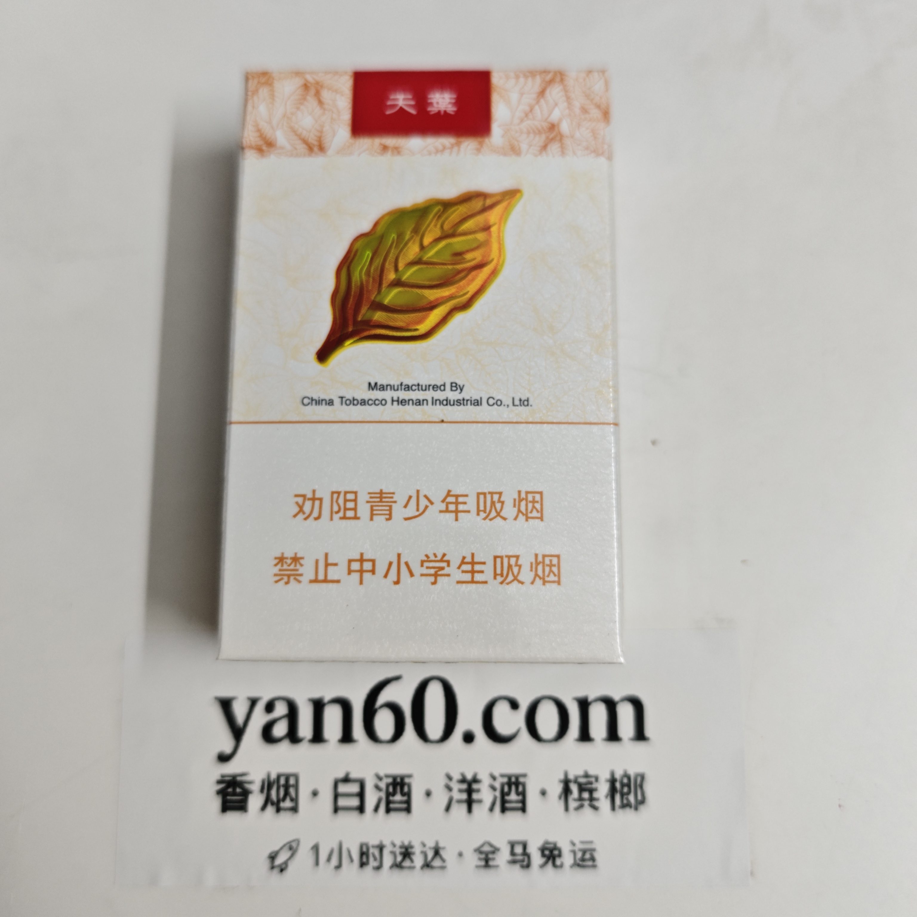 黄金叶天叶 - 图片 2