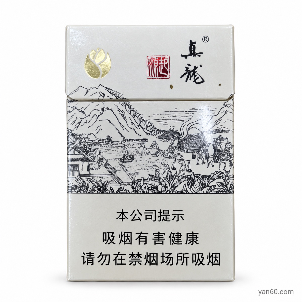 Zhenlong Qiyuan